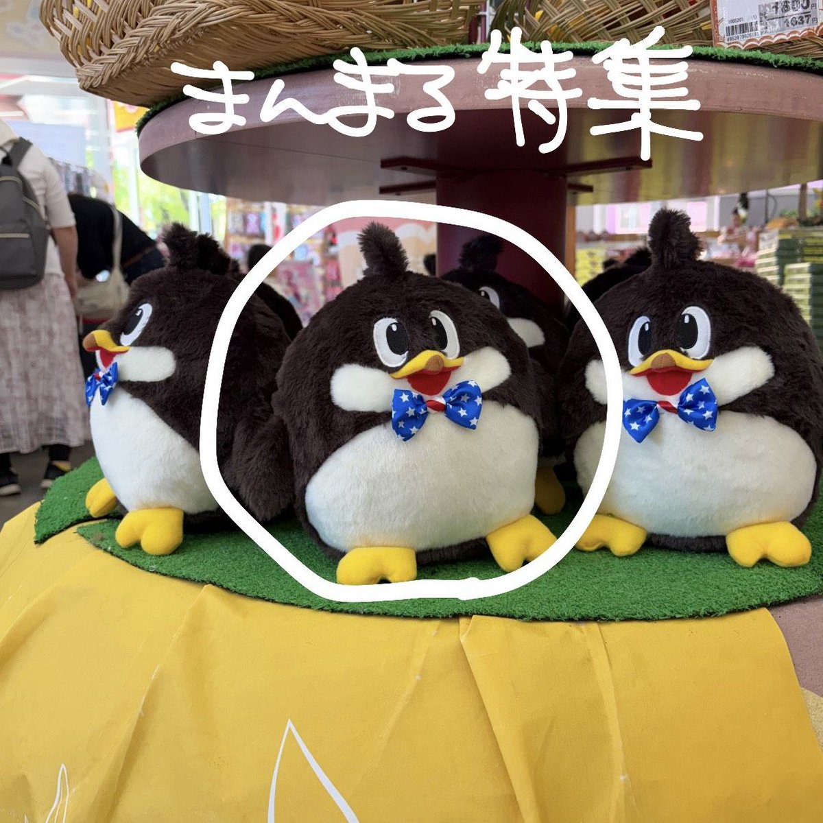 NASUHAI's tweet photo. 👉那須ハイスタッフのこっそりコレクション👈
～まんまる特集～

こっそりコレクションでは、那須ハイランドパークで働くスタッフのひそかな楽しみをこっそりシェアします🫣
最近はパーク内の“まる”を集めています！
最近はまんまるウーピーくんが欲しくてたまりません、、！

ウーピー、気球、看板などなど、、。本当はもっとあるんですけどね！
第２弾にもご期待ください◎

#那須ハイランドパーク
#那須ハイ
#遊園地
#まる
#丸
#ウーピー