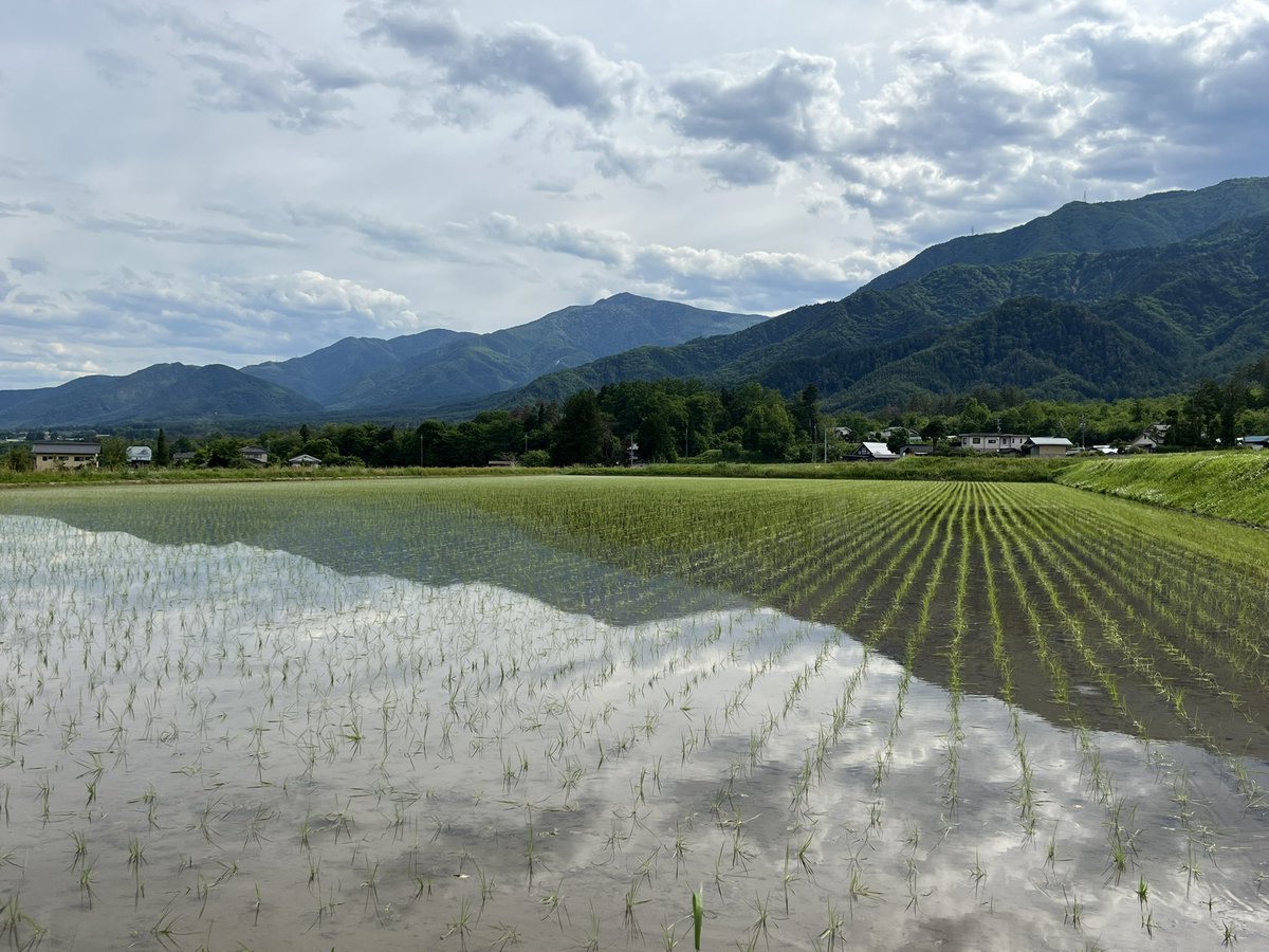 sunagimo0808's tweet photo. 長野県は安曇野市にて
宿に入ってお仕事が終了したので、周辺をお散歩(ง ˙˘˙ )ว
めっちゃのどかでいい景色(๑´ㅂ`๑) https://t.co/96J46p8VCx