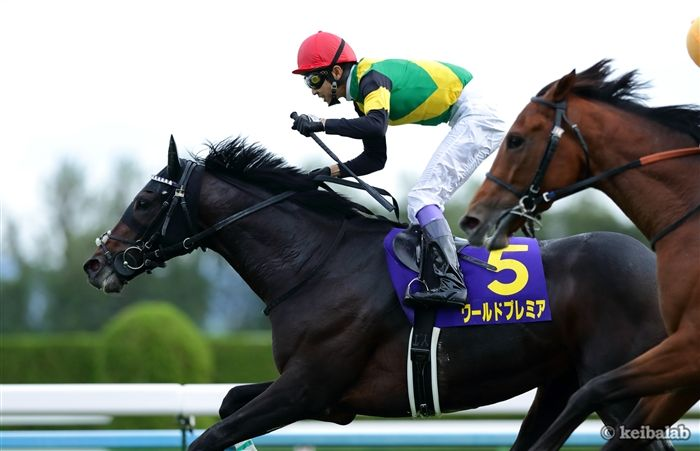 競馬ラボ tweet media