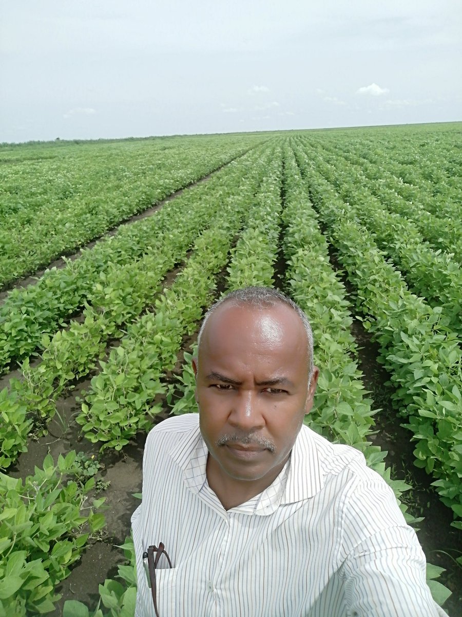 SeifIbrahimARC's tweet photo. فخور بأنني ضمن أفضل 200 مؤثر في مجالات STEM (العلوم، التكنولوجيا، الهندسة، والرياضيات) في السودان حسب تصنيف منصة Favikon، في تخصصي تربية فول الصويا والابتكار الزراعي.

فخري الحقيقي سيكون حين نتوسع في زراعة وصناعة فول الصويا في السودان.

شكراً لكل من يتابع المحتوى الجاد. https://t.co/SzwqWXMOX5