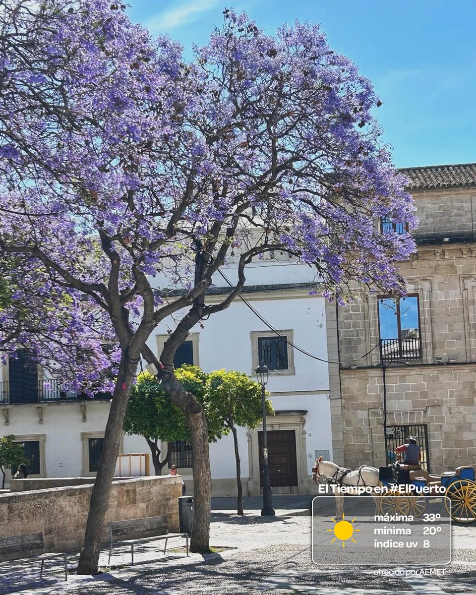 ElPuerto's tweet photo. #BuenosDías ☀️ #FelizDomingo
Terminamos mayo con cielos despejados, temperaturas en ascenso (máximas de 33º y mínimas de 20º), viento de Poniente (15 km/h) e índice UV 8 (Muy Alto).

Fuente: @AEMET_Esp 
Imagen: https://t.co/s6GjEvaS7B https://t.co/VRrutxKxWl
