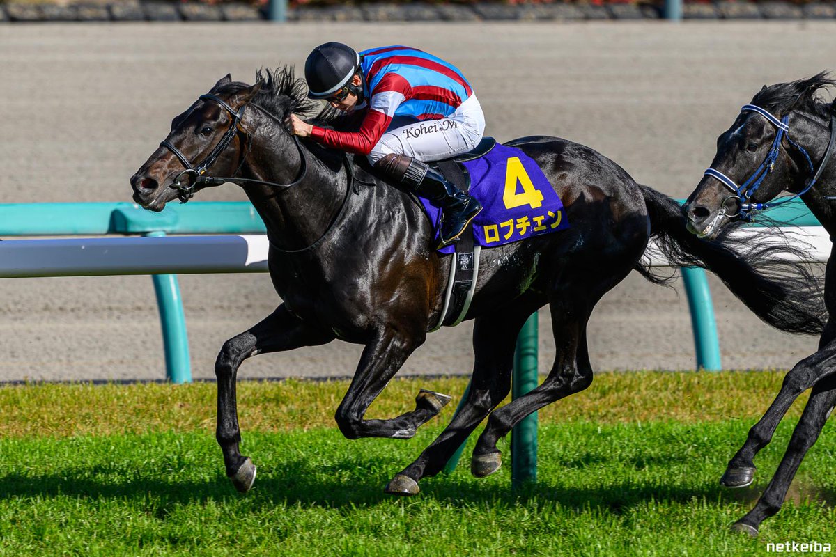 ThatReddyBoi's tweet photo. So, in summary...

Now we have two racehorses that will try to attempt to get the third crown to become a Triple Crown winner!

For the Spring Triple Crown: 
Croix du Nord.

And for the Classic Triple Crown:
Lovcen. https://t.co/9DQbXJ50dJ