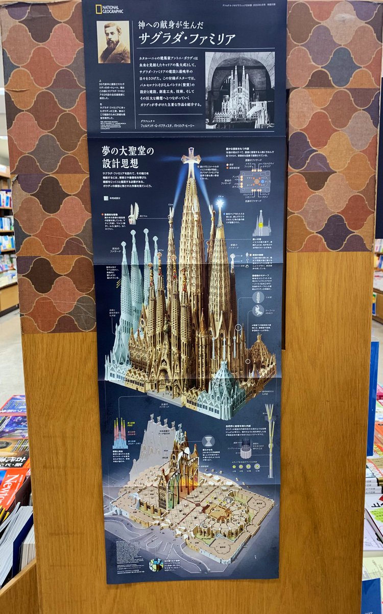 6階自然科学】 \絶賛発売中// 『ナショナルジオグラフィック 日本版