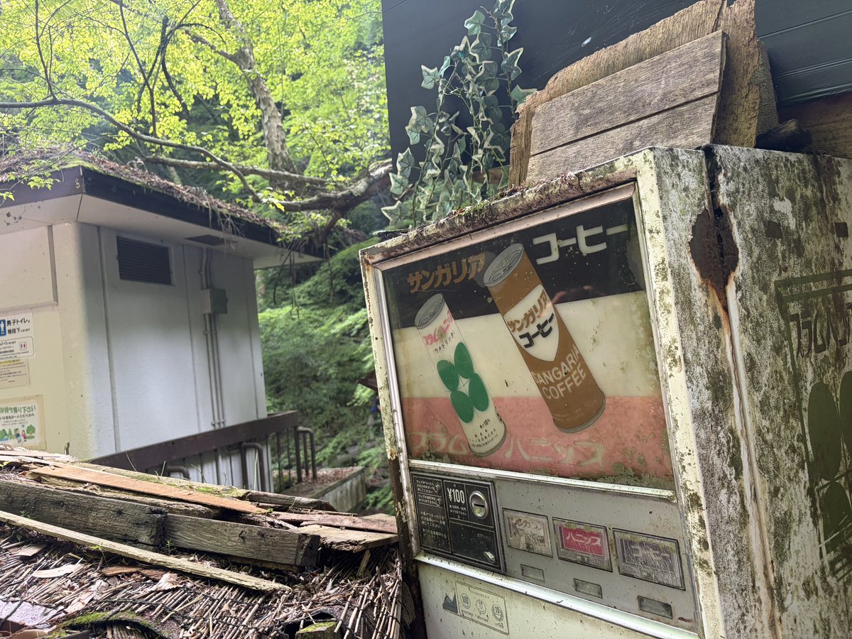 radbumps0508's tweet photo. 箕面の滝に1人で来てるのはワイだけでした https://t.co/6UJj9tIRRr
