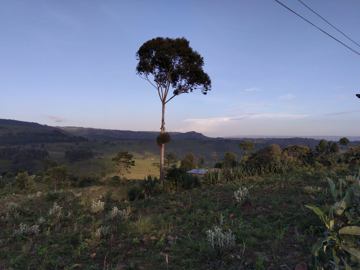 Amothekip's tweet photo. Kutung village, Kamasian location Kipkelion West, Kericho county https://t.co/AXkD5MZdRi