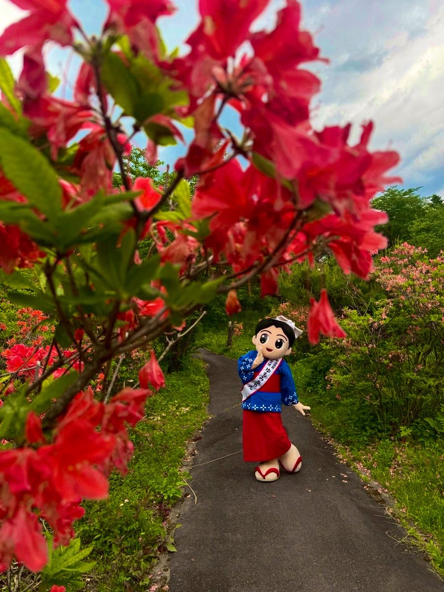 そよ風に レンゲツツジと 散歩道🐾