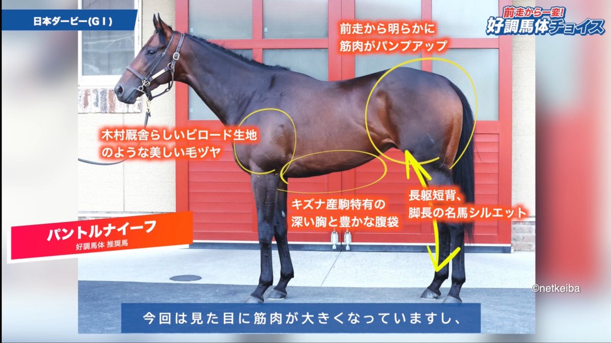 baTAI_padock's tweet photo. 美しいとしかいえない馬体
#パントルナイーフ

史上最大の逆転劇はならずも我が◎に一片の悔いなし https://t.co/oIpR7Vj7XT