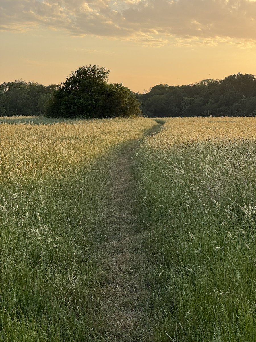 James_Saye's tweet photo. A little bit of life recently.

The UK in summer weather 👌 https://t.co/pwXnR8DTfd