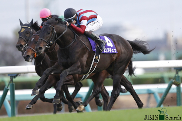 DimFortin's tweet photo. Lauréat des 2000 Guinées 🇯🇵, Lovcen réalise le doublé en remportant le Derby du #Japon ce matin ! Il s'impose d'une tête devant le partenaire de @christo68914587, Peintre Naif !
#HorseRacing #Keiba #Japan 

➡️Course visible sur le site @HorseRacing_JPN https://t.co/r7yUllPrD2