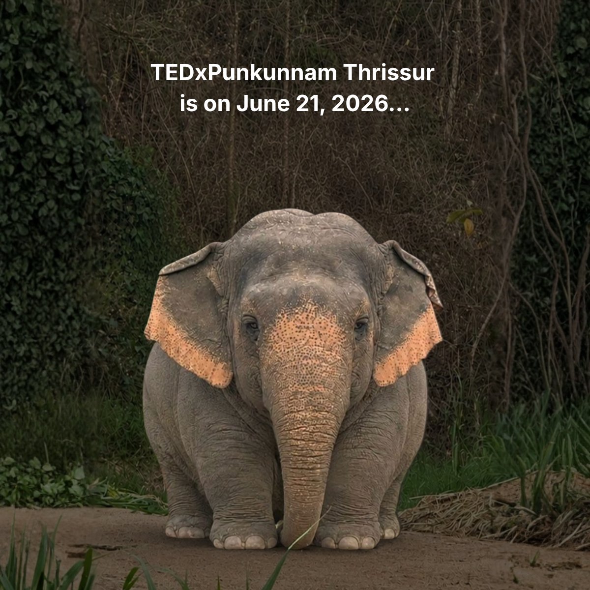 TEDxPunkunnam's tweet photo. Tickets for #TEDxPunkunnam #Thrissur 2026 is now available on our official website for June 21, 2026 at Park Inn &amp; Suites by Radisson Thrissur

Also, find tickets on @allevents_in, @bookmyshow , @townscript, @LumaHQ, @eventbrite , and @district_india   to reserve your seat now! https://t.co/DWZuEYR1bi