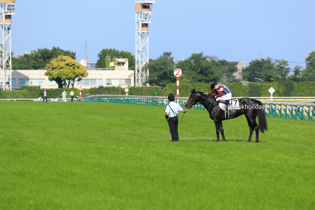 Jumpkholiday's tweet photo. 競馬には、ターフには、いつもドラマと感動が溢れている
#ロブチェン #松山弘平 #東京優駿 #日本ダービー https://t.co/0FLVitII86
