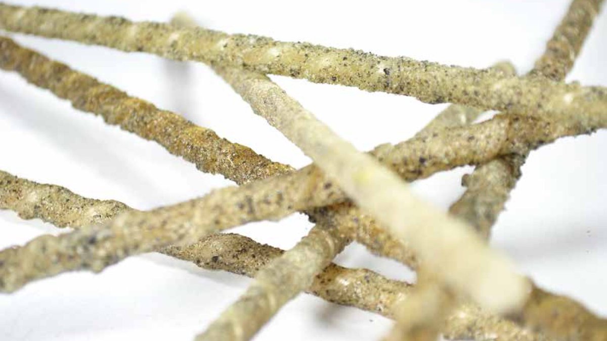 illuhenF's tweet photo. Steel corrodes. In Africa's coastal and tropical markets — it corrodes fast.
FRP reinforcement solves that problem structurally — not with maintenance, but with material.
VILNI Business Platform has the supplier, the product, and the African market network to make this work. https://t.co/WmpqNM7Xto