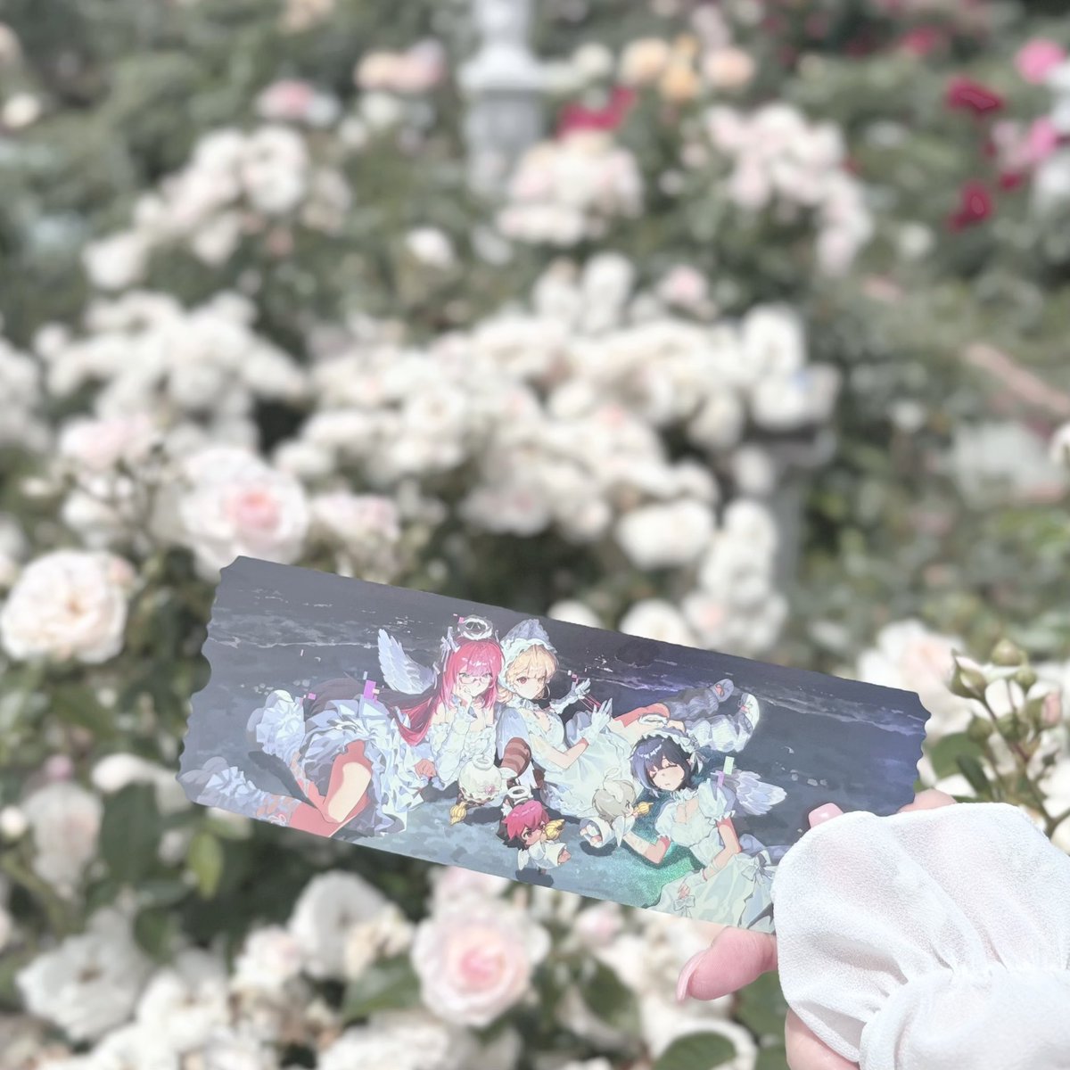 𑅞𑅞゚ tweet media