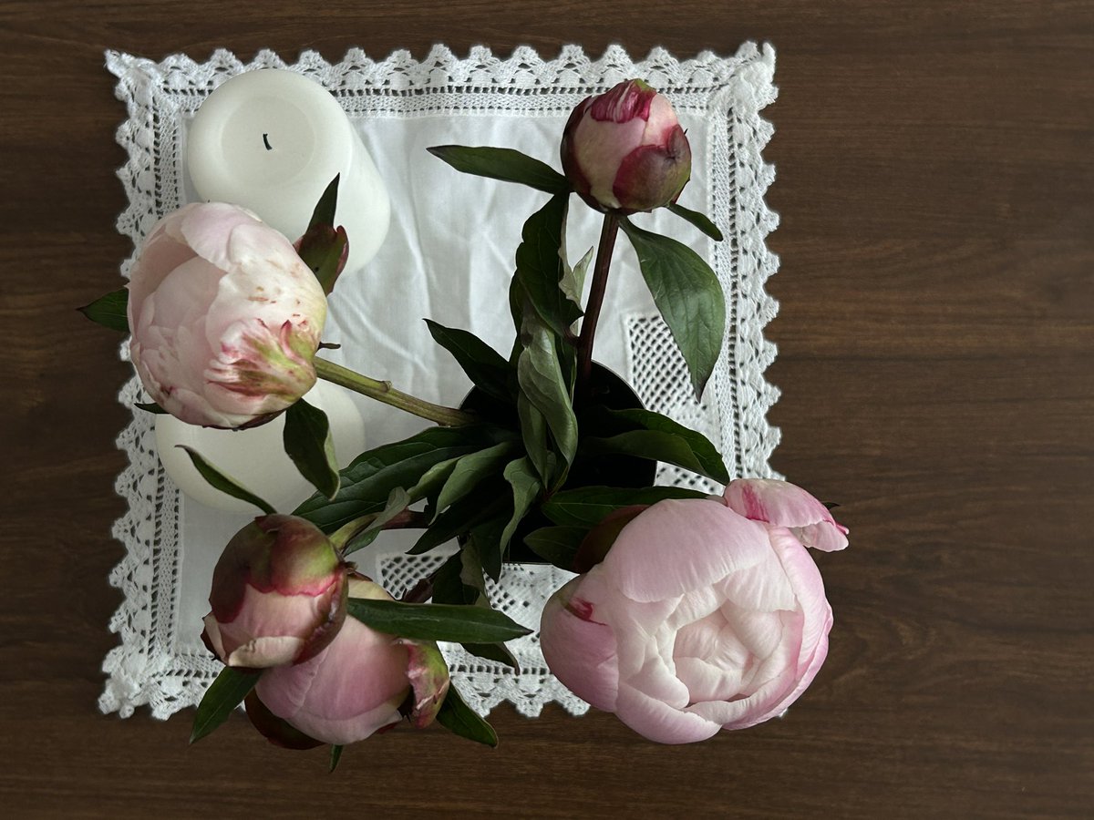 Shahmeerfbh's tweet photo. peonies today:) https://t.co/LSbbi8FgbC