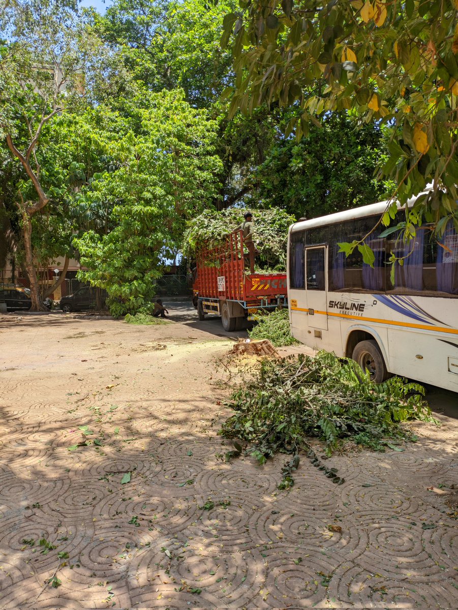 melvilled2000's tweet photo. Another tree cut for no apparent reason, leaving the foothpath without shade. In times where the climate is so hot we should be planting trees instead of cutting them. #mumbai @mybmcWardGS https://t.co/6LEw209iBy
