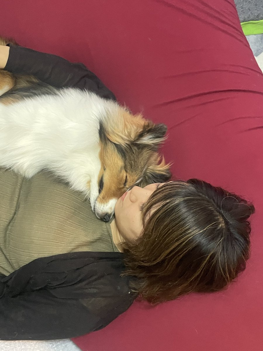 Deys4423's tweet photo. すやぁ https://t.co/ZqATCbKetc