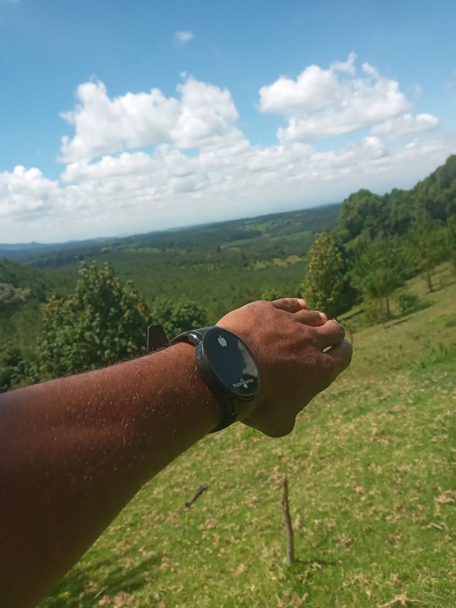 Kip030🇰🇪 tweet media