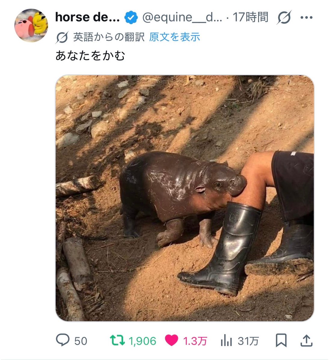 星林檎 tweet media