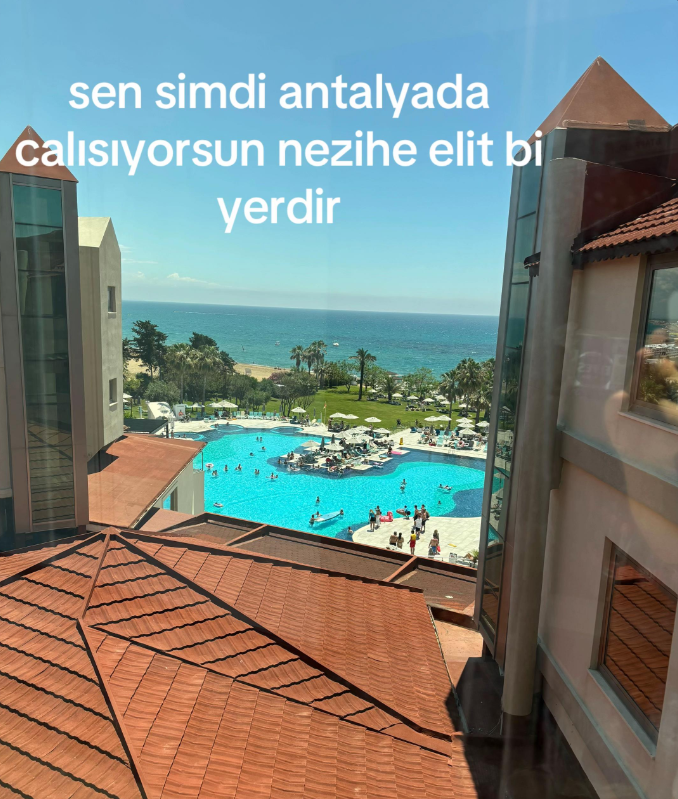ZAM Haber tweet media