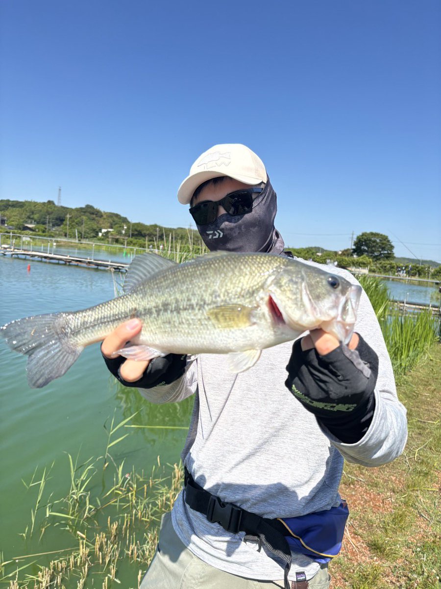 Angler_sta's tweet photo. @Jun_Gunji 
@fishing158 
@nomushun_delta 
@SdgMarine 
この度は貴重な体験を提供して頂き有難うございました！
ショートバイトで苦戦しましたが釣り方を教えて頂きお陰で課題や改善点が分かりました💦
残り2ヶ月間の日本滞在と今後のバス釣りも今回学んだ事を活かして頑張りたいと思います🙇‍♂️ https://t.co/czkjlaCHfp