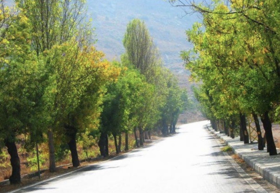 Ritaام كريستيان Live love Lebanon 🇱🇧🫶10452km2 tweet media