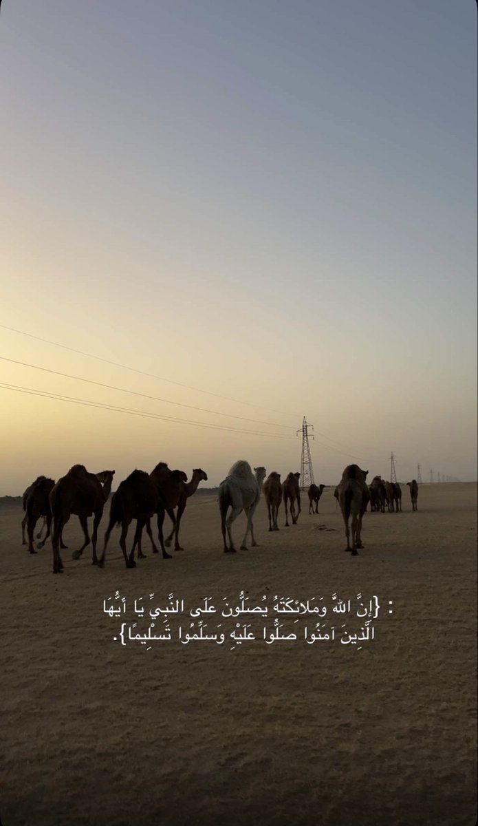 k_alshahen's tweet photo. صباح الخير أما بعد :

لو طاحت الأحلام في جبّ الظروف 
لابد  "قافلة العزيز " تمرّها

- نايف بن معلي https://t.co/tiELSptNWa
