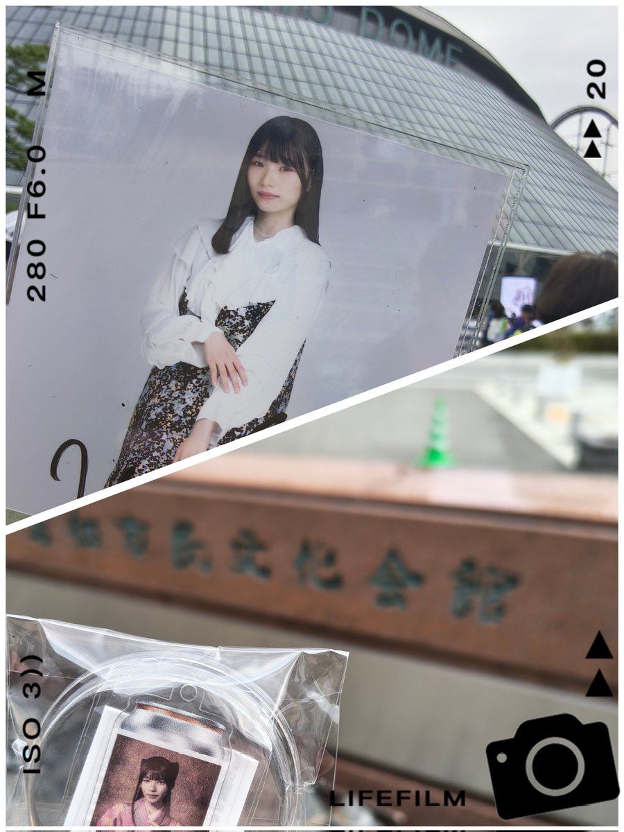 W4cXd's tweet photo. 🏷️　更新

🩰岡本姫奈🩰
🐼池田瑛紗🐼

トークポスト多めヽ(´ー｀)ノ
いいねで自発します(^^)
無言フォロー◎自発◎
#乃木坂好きな人と繋がりたい https://t.co/USTK4A8OVZ