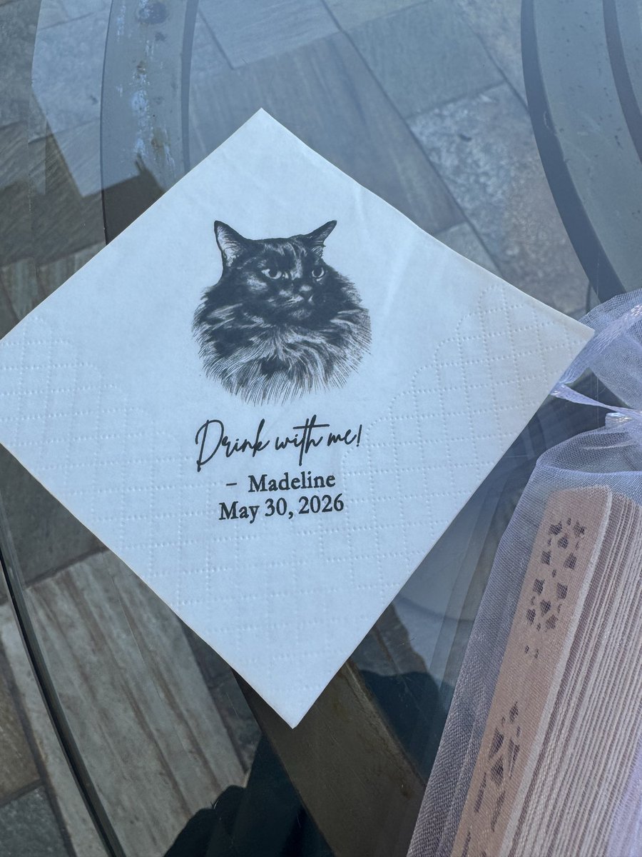 AtHellaToast's tweet photo. I LOVED that the cats were included. There were themed drinks named after them. It was so much fun. @therealadish https://t.co/h1LhRVBnha