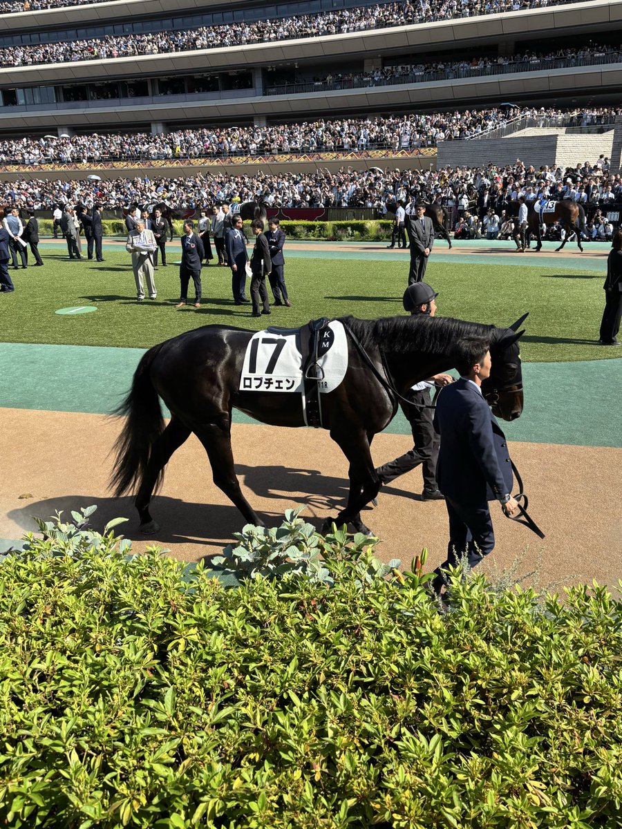 kickoffcircle's tweet photo. 二冠達成おめでとー！

#ロブチェン
#日本ダービー https://t.co/zK3VyVXZh5