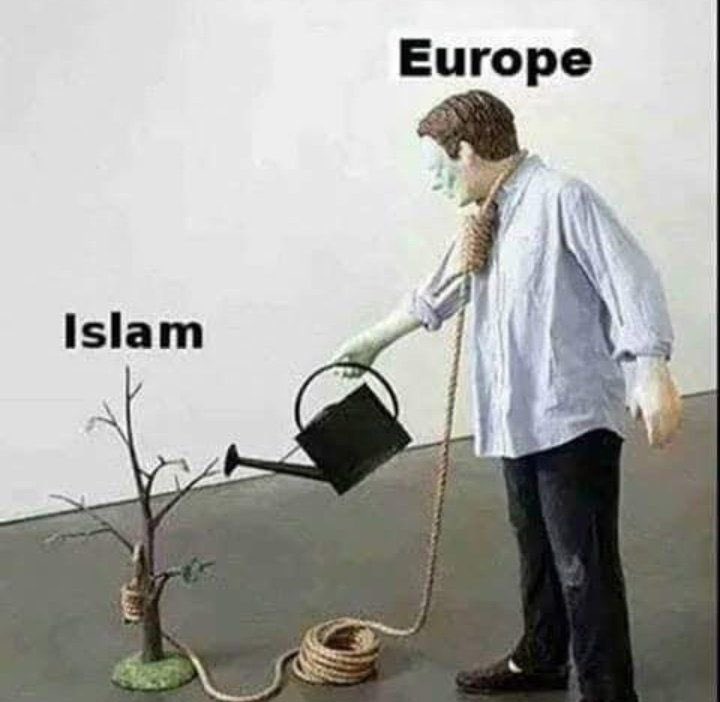 mr__prolific's tweet photo. @elonmusk This is what you get when a country tries to be politically correct. ‼️‼️‼️‼️‼️ https://t.co/NcFxVgRz2j
