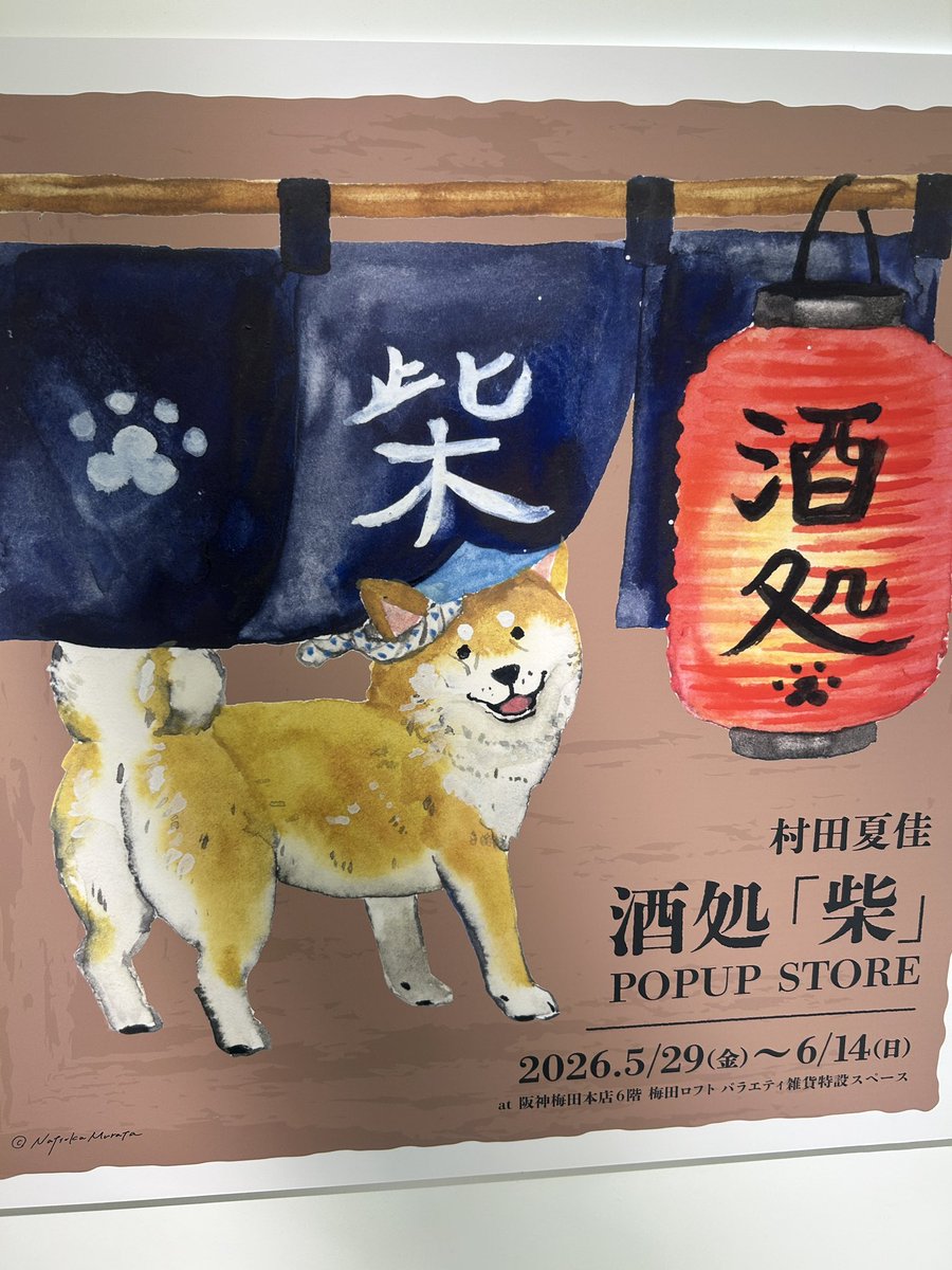 muchan_117's tweet photo. 増える柴犬グッズたち🐶
村田夏佳(@murmursh )さんのPOP UP STORE行ってきたよー🚃
可愛いすぎてアレコレ買いそうになるのを堪えて堪えて🥺
梅田のロフトで開催中！
柴犬好きな方はチョロっと覗いてみてください👀癒されるよぉ〜☺️

#柴犬　#村田夏佳　
むぅちゃんはシャンプーして疲れてお昼寝中💤 https://t.co/rzC7A3CJTh