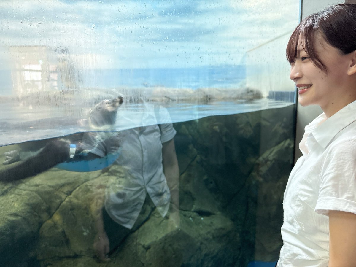 innnu_ojo2's tweet photo. 先日、ともだちと水族館に行きました〜

特大ファンサをくれたホワイトくん🐧に、まんまとハートを射抜かれました。またすぐ会いに行きます！！

写真たくさん撮ったので、ちょっとずつ載せるね🐟🐟🐟 https://t.co/ObBhZfXR80