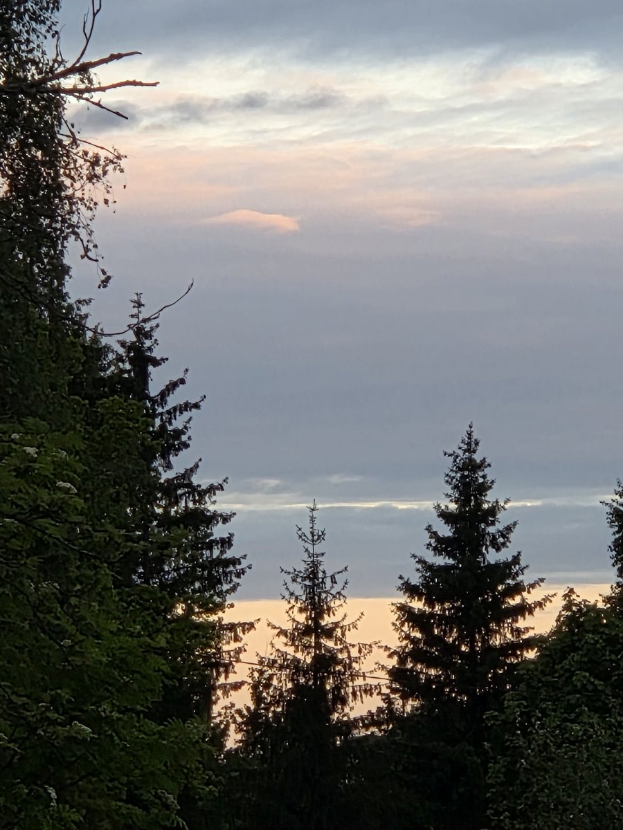 EronenL's tweet photo. Eilisten juhlien jälkeen olin aamuvirkkuna mustarastaiden ja jänisten kanssa kävelyllä ennen neljää. Oli raitilla liikkeellä myös yksi porukka, joka ehkä oli vasta kotiin menossa. Nuoret ❤️ Elämän kevät! Huumaava syreenien tuoksu.

#liikeonlääke
#liikkeellä
#armasaika https://t.co/zqH9UmoqLQ