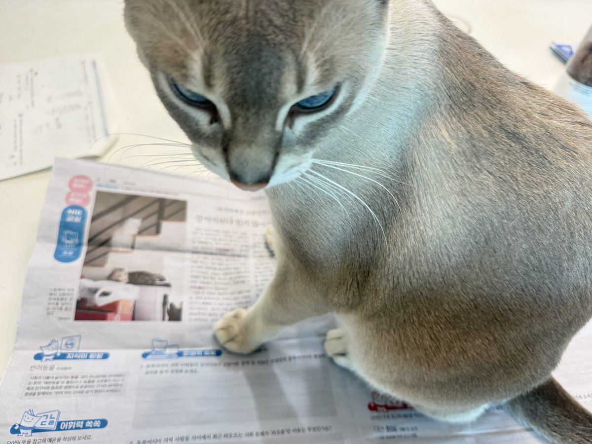김사슴 tweet media