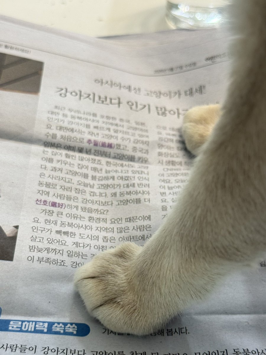 김사슴 tweet media