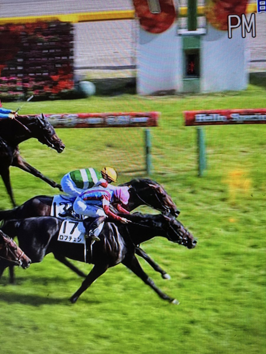 narimi_ito's tweet photo. 2026'【ダービー🏇】
東京競馬場・7万人来場
きょうは31℃🔥
ここから近いですが、冷蔵庫のように冷えたお部屋で、テディ💙🇺🇸と見てます‼️興奮して…また泣いてしまいました。。
㊗️🍾👏 https://t.co/4GESfenWzG