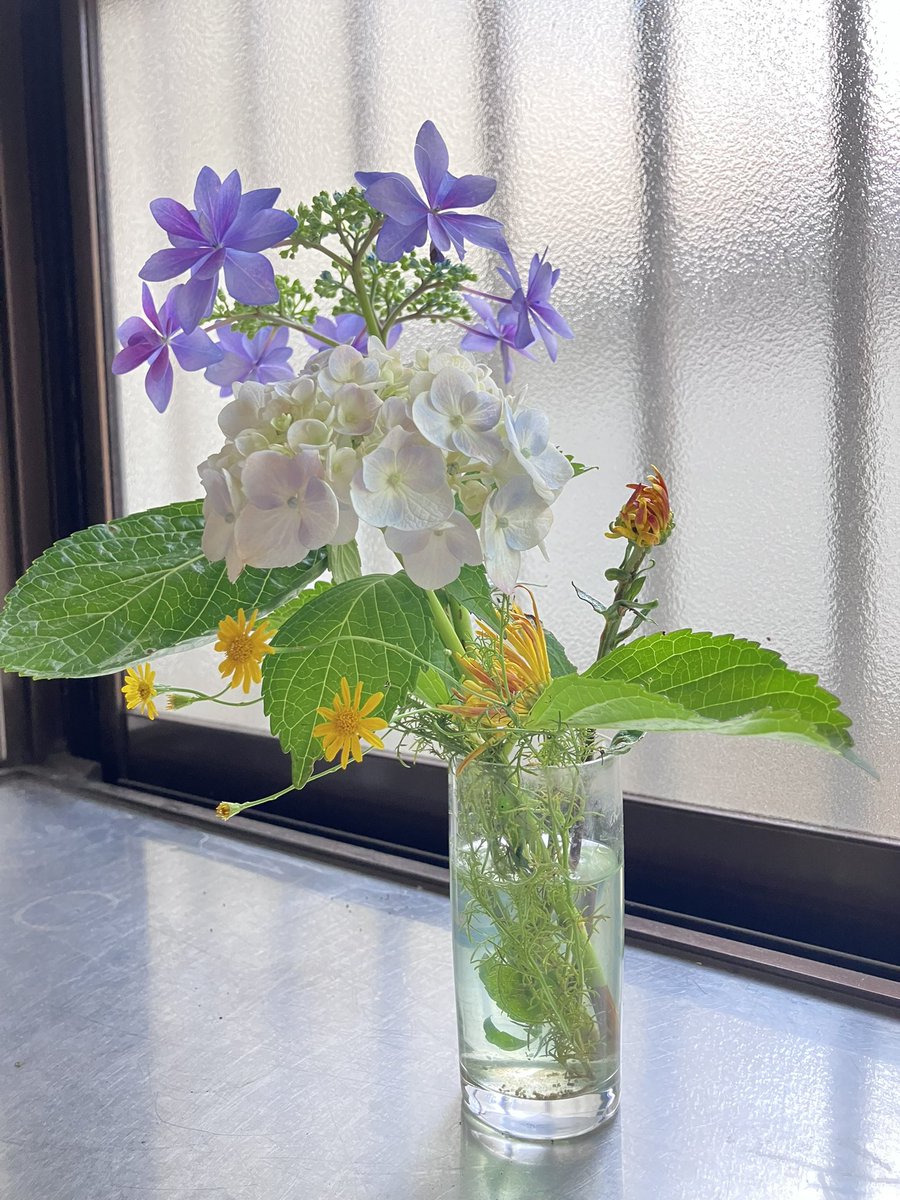 池之端根津子 tweet media