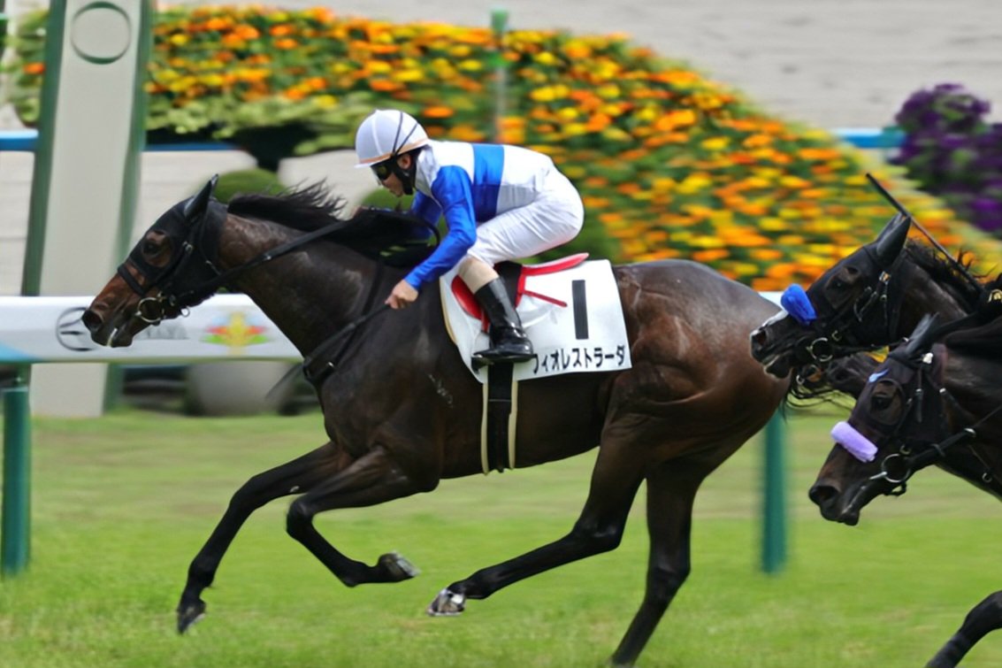 yurin82310's tweet photo. 2026.5.31 京都8R 4歳上2勝C 芝2000
フィオレストラーダ🏇(非)💙︎🤍💙
優勝おめでとうございました㊗️🥇✨
#ロードはいいぞ
#フィオレストラーダ
#杉山晴紀厩舎  
#松若風馬騎手 https://t.co/LLYZ6LYbkh