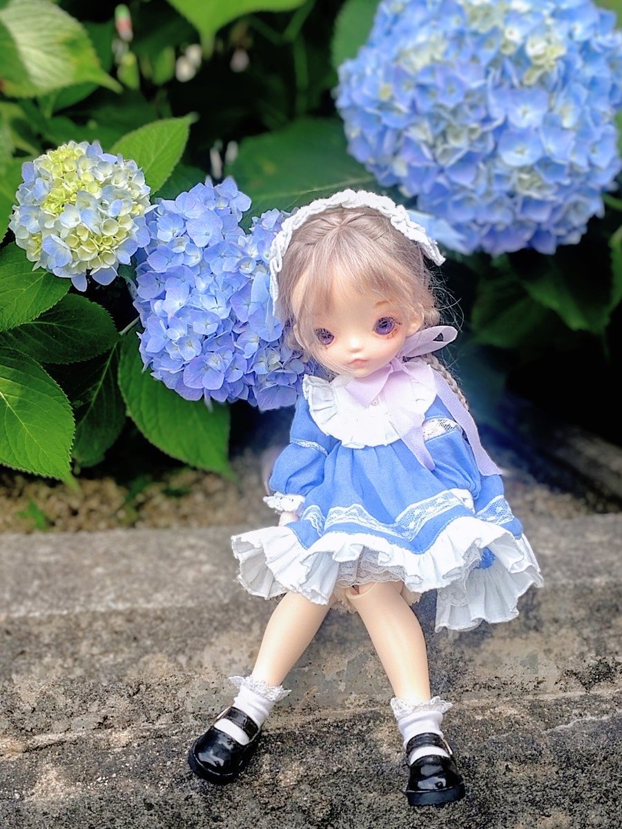 satokichi7310's tweet photo. #お花とドール
#ドールとお花
#紫陽花
#Milkytea https://t.co/dd8G937YEh