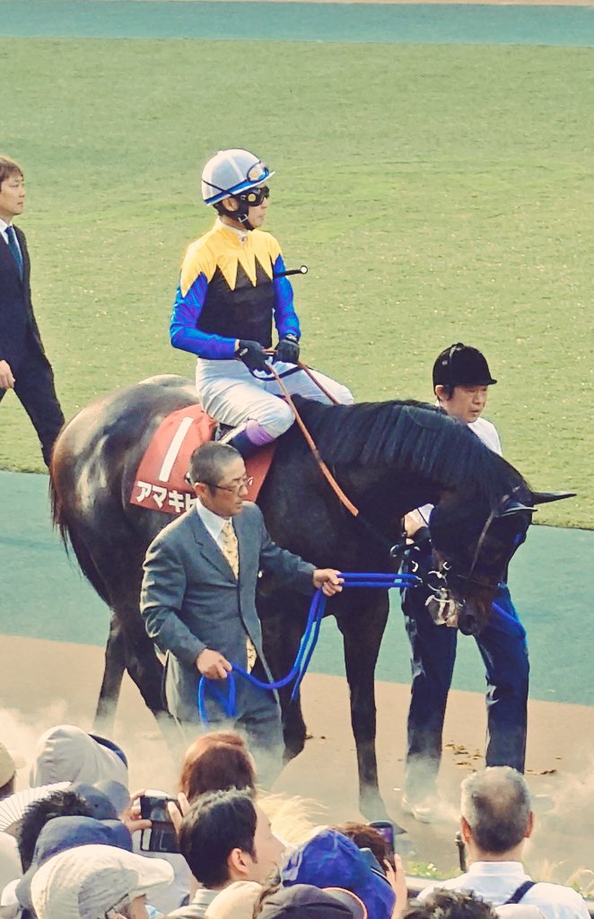 debaser1976's tweet photo. 優勝馬を真っ先に切るという愚を犯した『馬を見る目が全く無い男』代表の小生。
本当は表彰式なんか見たくないのですが目黒記念まで時間がある為、そこは素直に祝福です。

息子「何、あの馬車w」
デ「あぁ、あれは馬券を外した愚民どもを煽ってるんだよw」
息子「www」

目黒記念は固く決まる様に🥺。 https://t.co/5zWzsmTY42