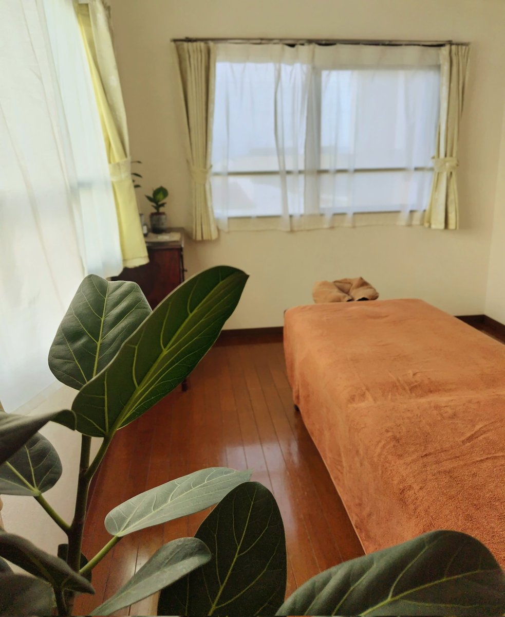 naprelaxation's tweet photo. 上記以外の営業日は通常通り
営業いたしておりますので
皆様のご来店を心より
お待ちしております。

NAP豊橋サロンが松井町に
リニューアルオープンして
一ヶ月あまり広くなりアンテーク
で落ち着く雰囲気が
ご来店くださったお客様に大変
ご好評頂いています☘️ https://t.co/h80Z3vE18Q