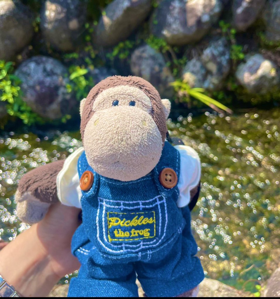 gorichanusako17's tweet photo. どんな小さなことでも構いません🙏「見たかもしれない」「似たものを見かけた」などありましたらご一報ください😭ごりちゃんが帰ってきてくれますように。その願いを持ち続けて探し続けます🙏🙏　　
#今治　#探しています　#拡散希望 https://t.co/7ANrNx01lJ