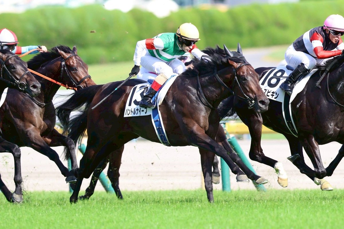 niikappu_hashi's tweet photo. 日本ダービー（G1）
#パントルナイーフ

夢見ました……

悔し過ぎるアタマ差2着

でも馬は本当によく頑張ってくれましたし、ルメール騎手も素晴らしい騎乗でした🏇
木村厩舎の皆様も素晴らしい仕上げありがとうございました。

秋には絶対大きいところ獲りましょう！！

まずは今後も無事に！ https://t.co/jTTNDx1FgB