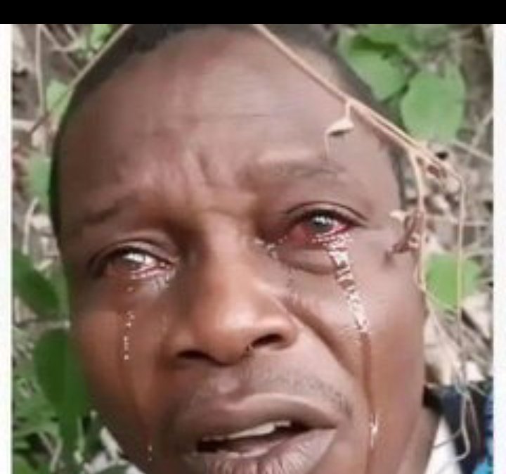 GbolahanOlanyi0's tweet photo. 🚨 REPOST AGGRESSIVELY. Don't scroll past. Let the whole world see what is happening in Nigeria. Their voices may be silenced, but ours must not be. 💔🇳🇬🙏🏽

88 children, students, and teachers abducted in OYO and BORNO on the same day. This cannot become normal. Every child deserves safety, every teacher deserves protection. Bring them home.

#BringThemHome #SecureOurSchools #ProtectNigerianChildren #EndKidnappings #NigeriaIsBleeding #EnoughIsEnough 💔🇳🇬🙏🏽