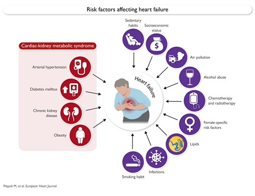 SeguraCardio's tweet photo. 📌Prevention of heart failure🫀

A scientific statement of the #HFA, #EAPC &amp; #ACNAP of the @escardio &amp; the ESC Council on Hypertension

#HF #Prevention #ESC https://t.co/pXhl8IsTcw
