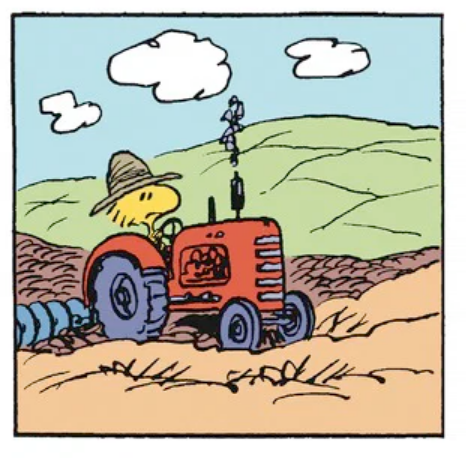 peanuts_no's tweet photo. https://t.co/K4aPPujRJq