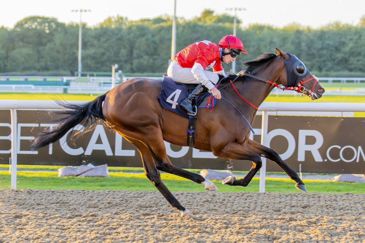 JYdlibi's tweet photo. Third runner is Penelope Valentine in the 5.25pm @NottsRacecourse for @Roguesracing_ @JPOwenRacing 

Recently scanned in foal, she will be joining the syndicates breeding programme this year. Hoping for a big run today! https://t.co/CkBbsZyHOy