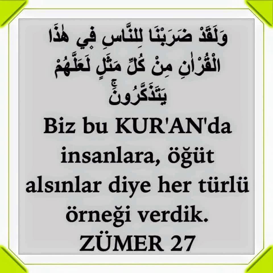 Ahmet demirci tweet media
