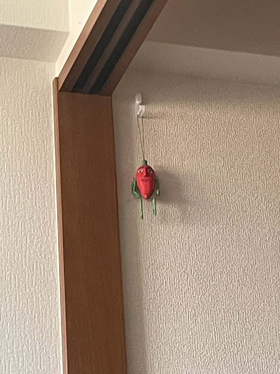 kouBBB's tweet photo. 輸入雑貨市の戦利品🌶️ https://t.co/TkfD4AkR0a
