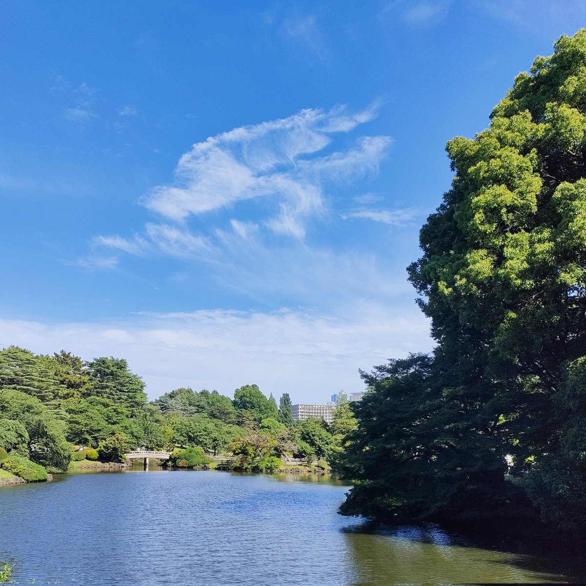 akb_er's tweet photo. https://t.co/7FQt1eV6xT